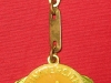 medalion-universitatea-craiova-1